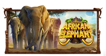 African Elephant — обложка игры Pragmatic Play