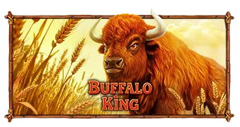 Buffalo King — обложка игры Pragmatic Play