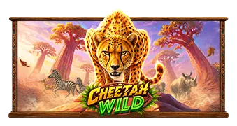 Cheetah Wild — карточка, Pragmatic Play
